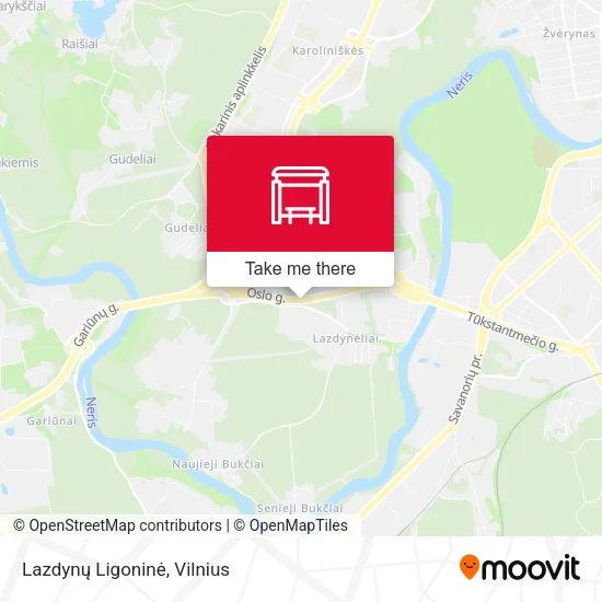 Lazdynų Ligoninė map