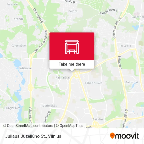 Juliaus Juzeliūno St. map