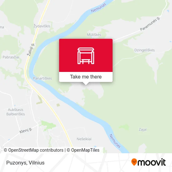 Puzonys map