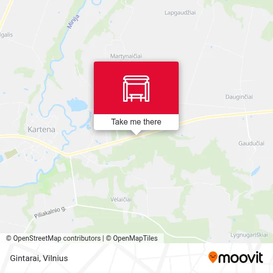 Gintarai map