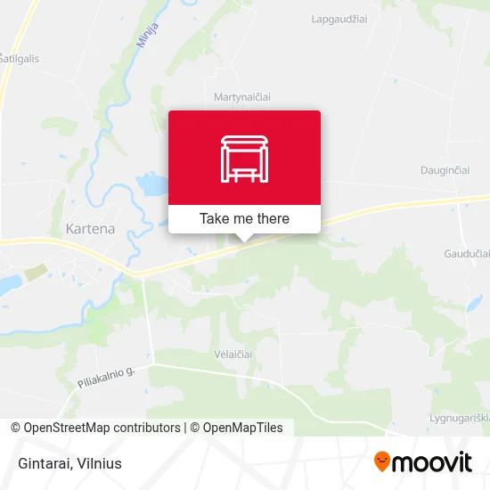 Gintarai map