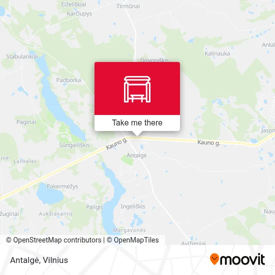 Antalgė map