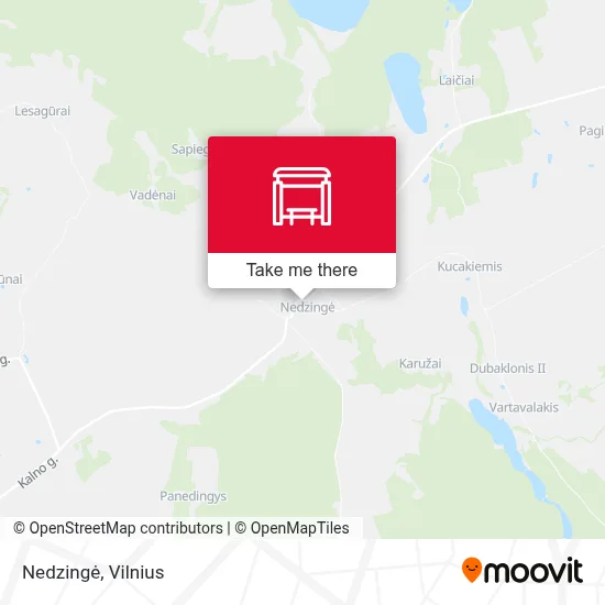 Nedzingė map