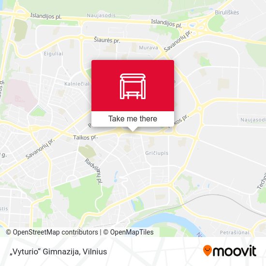 Карта „Vyturio“ Gimnazija