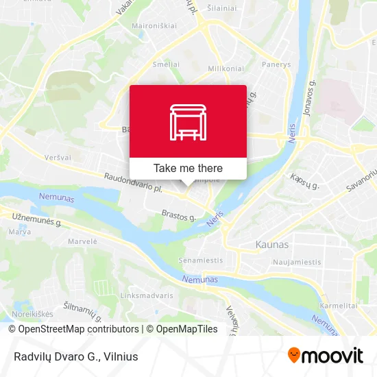 Карта Radvilų Dvaro G.