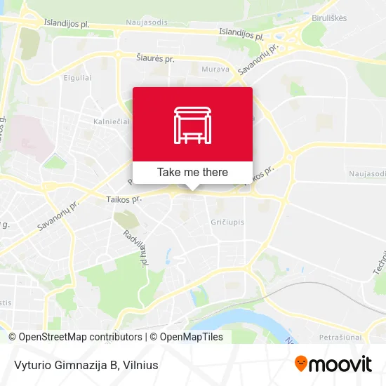 Карта Vyturio Gimnazija B