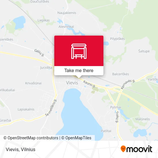 Карта Vievis