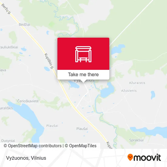 Карта Vyžuonos