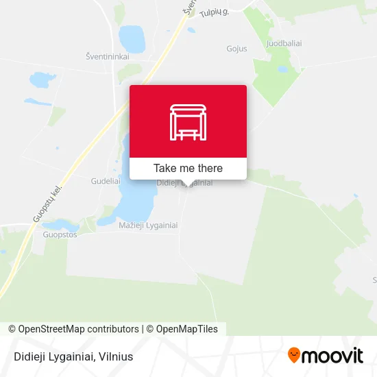 Карта Didieji Lygainiai