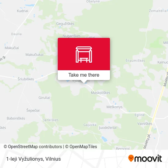 Карта 1-Ieji Vyžulionys