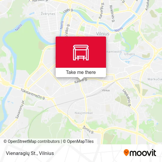 Карта Vienaragių St.