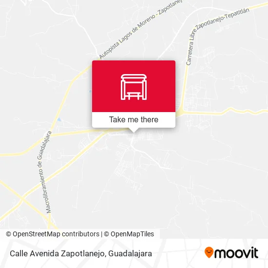 Mapa de Calle Avenida Zapotlanejo