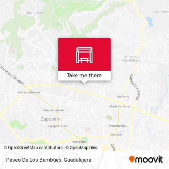 Paseo De Los Bambúes map