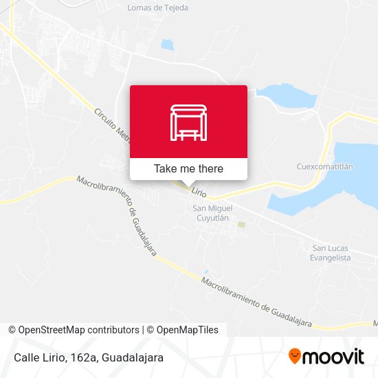 Calle Lirio, 162a map