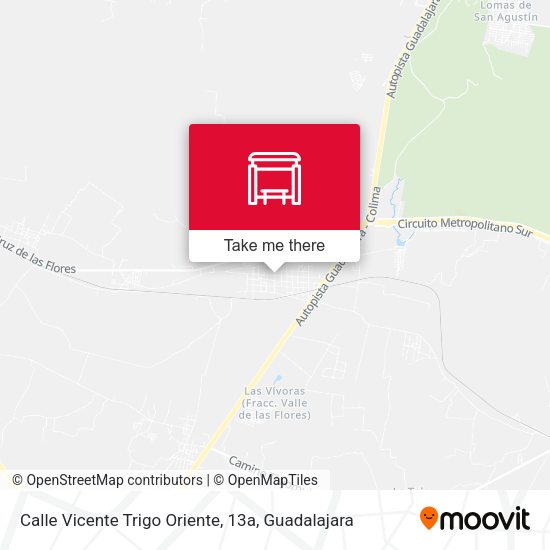 Mapa de Calle Vicente Trigo Oriente, 13a