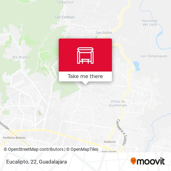 Mapa de Eucalipto, 22