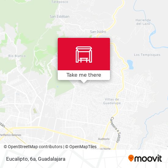 Mapa de Eucalipto, 6a