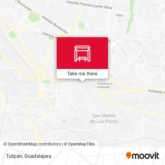 Mapa de Tulipán