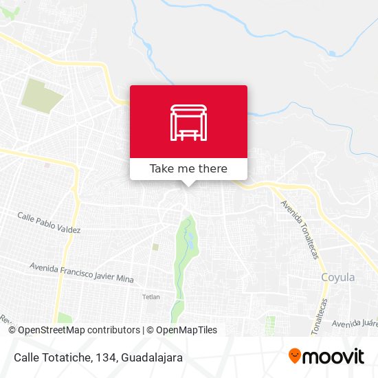 Mapa de Calle Totatiche, 134