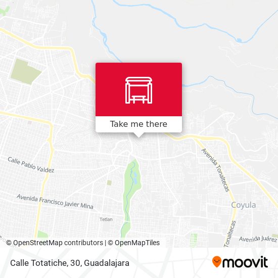 Calle Totatiche, 30 map