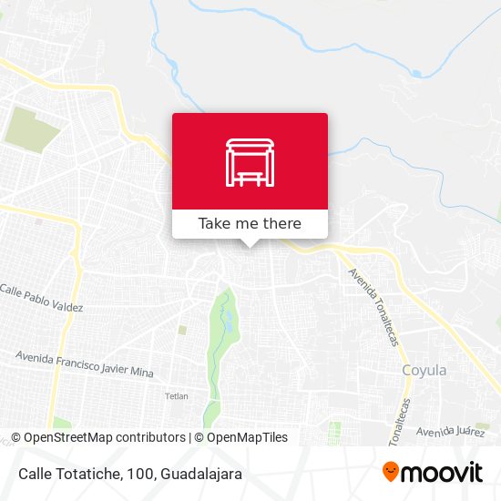 Mapa de Calle Totatiche, 100