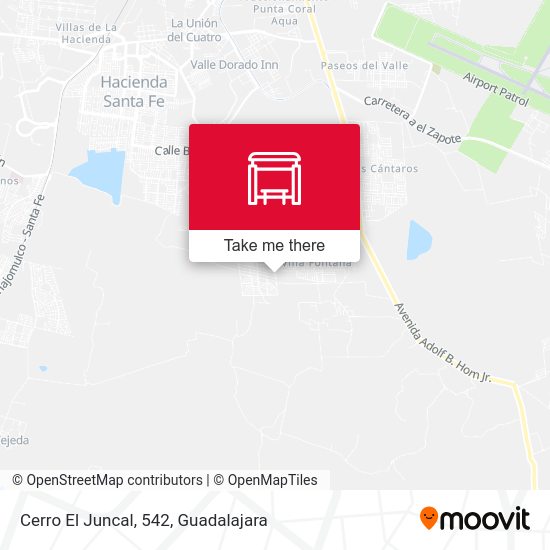 Cerro El Juncal, 542 map