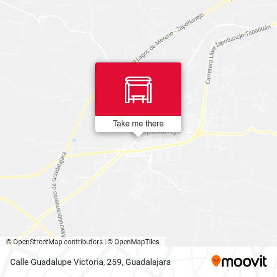 Mapa de Calle Guadalupe Victoria, 259