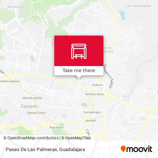 Paseo De Las Palmeras map