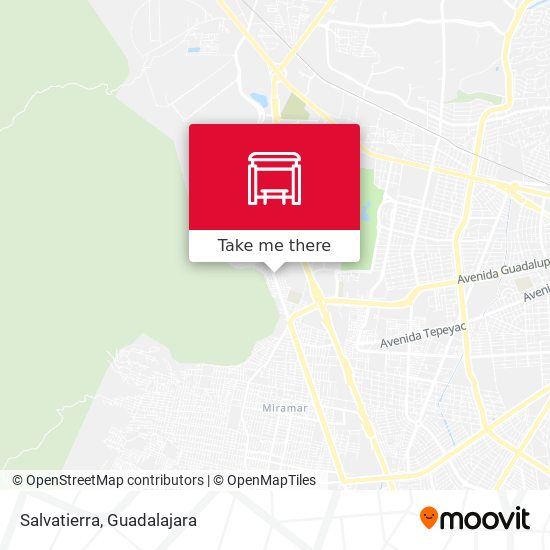 Salvatierra map