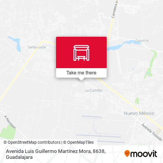 Avenida Luis Guillermo Martínez Mora, 8638 map