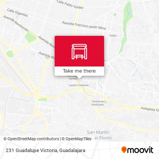 Mapa de 231 Guadalupe Victoria