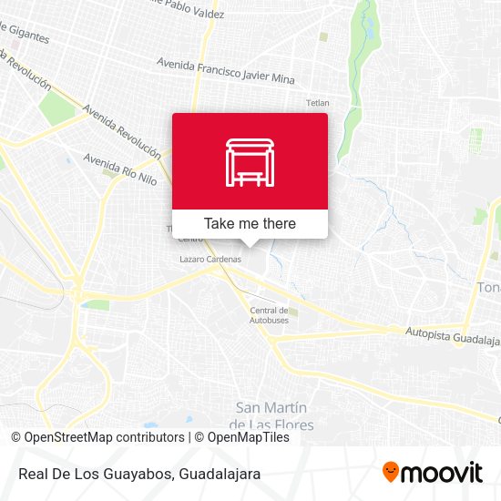 Mapa de Real De Los Guayabos