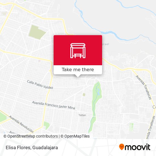 Mapa de Elisa Flores