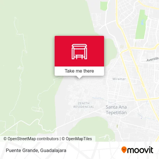 Puente Grande map