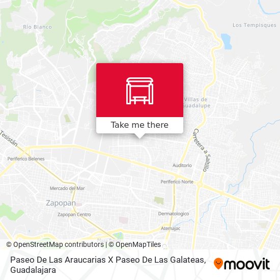 Paseo De Las Araucarias X Paseo De Las Galateas map