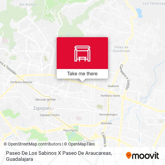 Paseo De Los Sabinos X Paseo De Araucareas map
