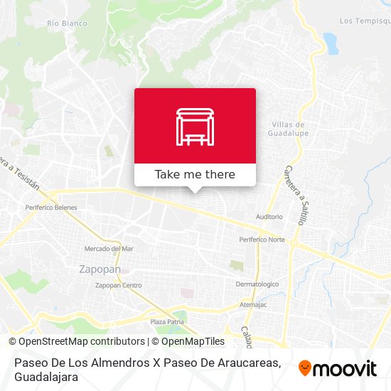 Paseo De Los Almendros X Paseo De Araucareas map