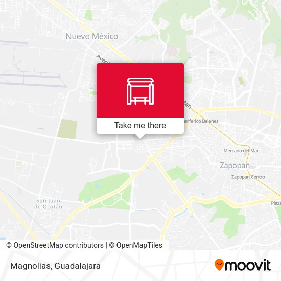 Magnolias map