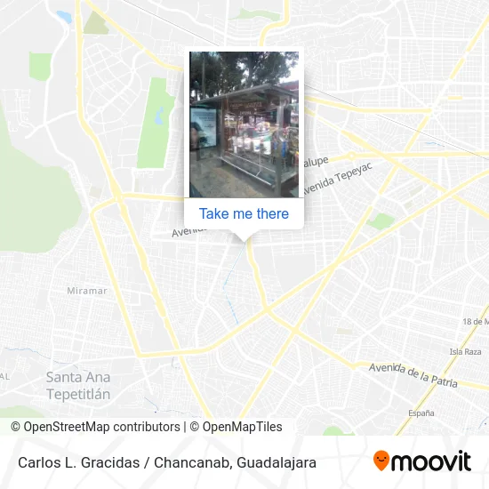 Carlos L. Gracidas / Chancanab map