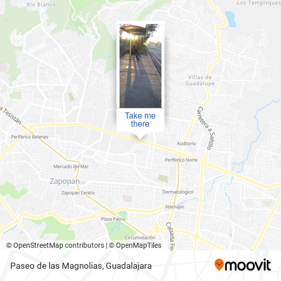 Paseo de las Magnolias map