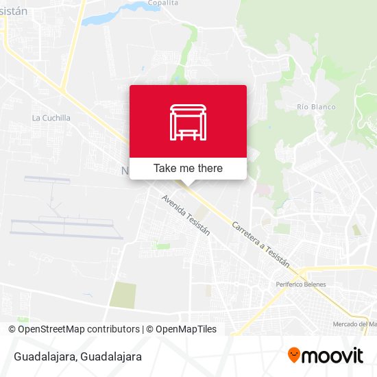 Guadalajara map