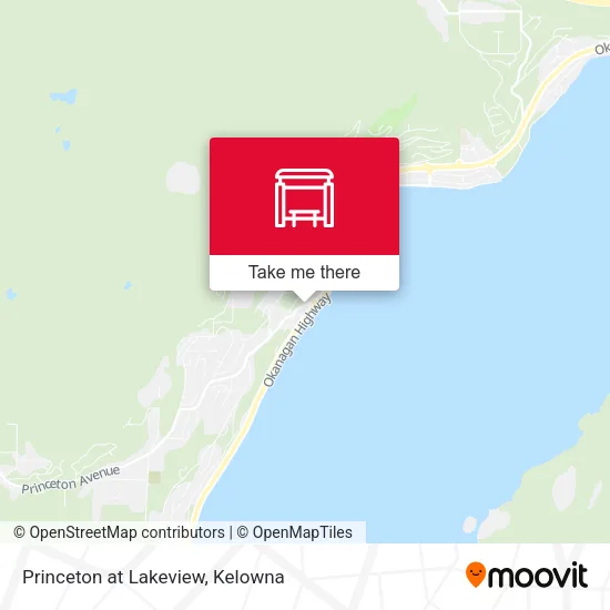 Princeton at Lakeview map