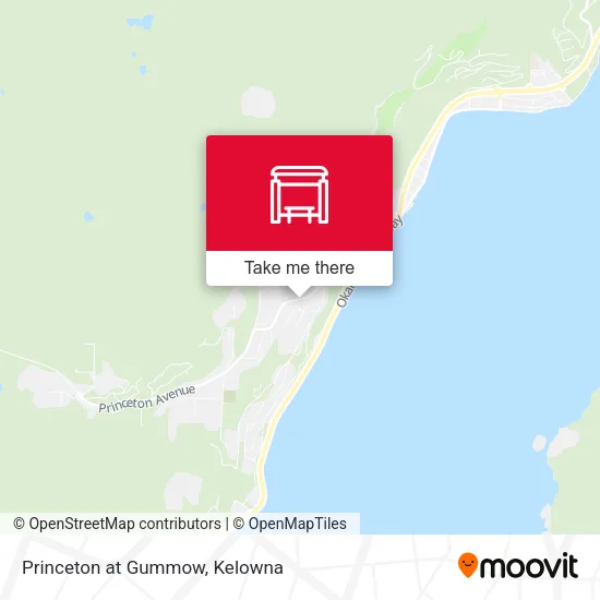 Princeton at Gummow map