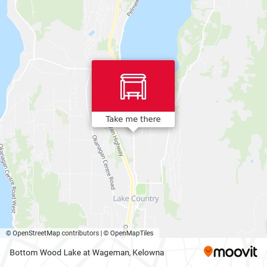 Bottom Wood Lake at Wageman map