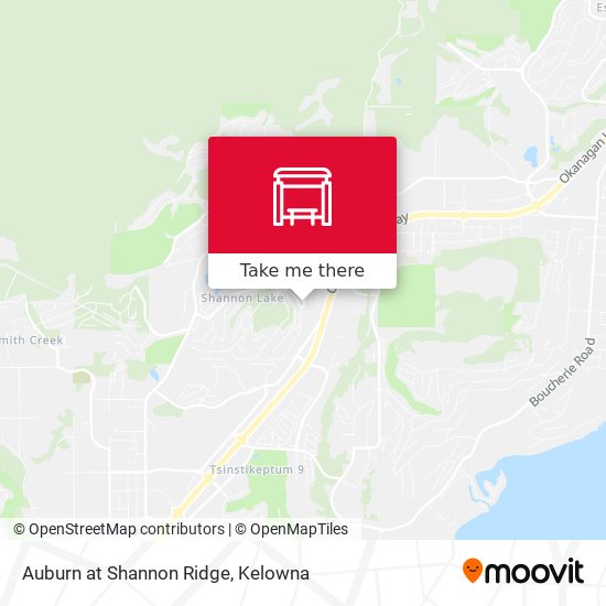 Auburn at Shannon Ridge plan