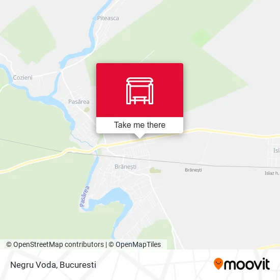 Negru Voda map