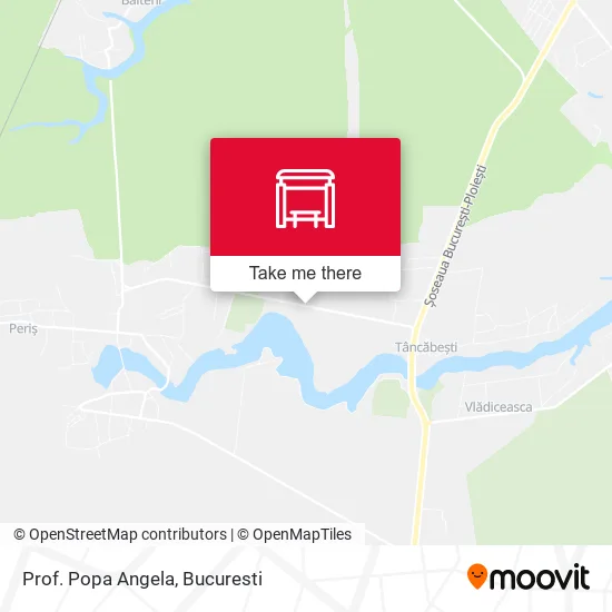 Prof. Popa Angela map