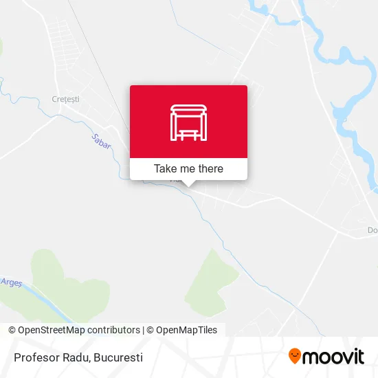 Profesor Radu map
