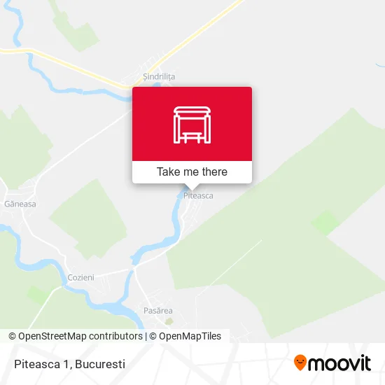 Piteasca 1 map