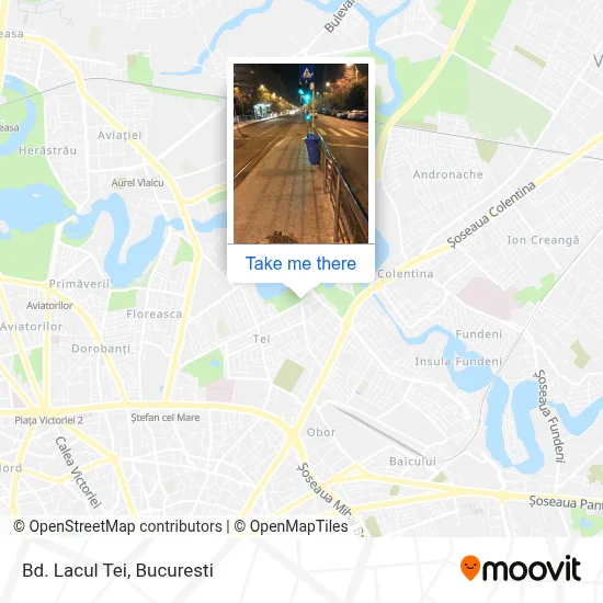 Bd. Lacul Tei map